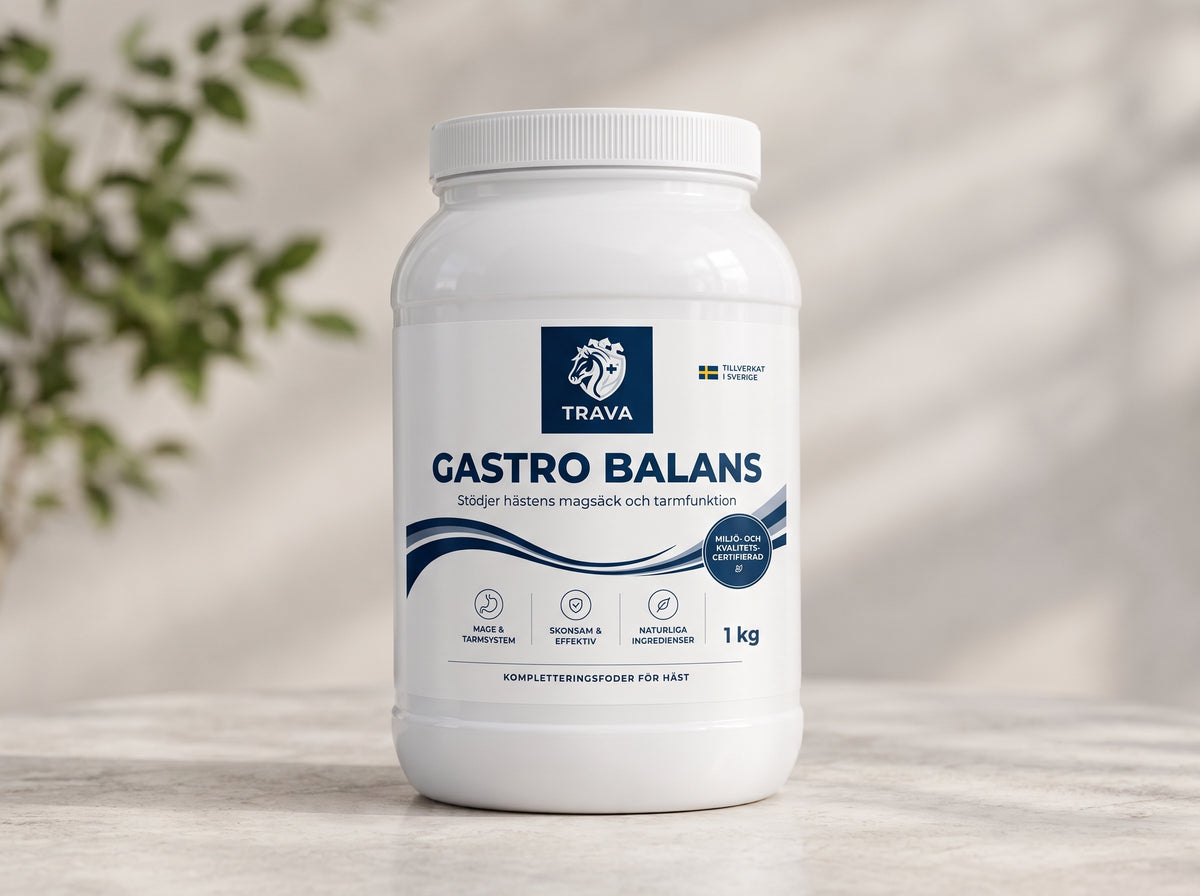 Gastro häst